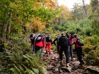 Zloty Lisc 2021 (41)